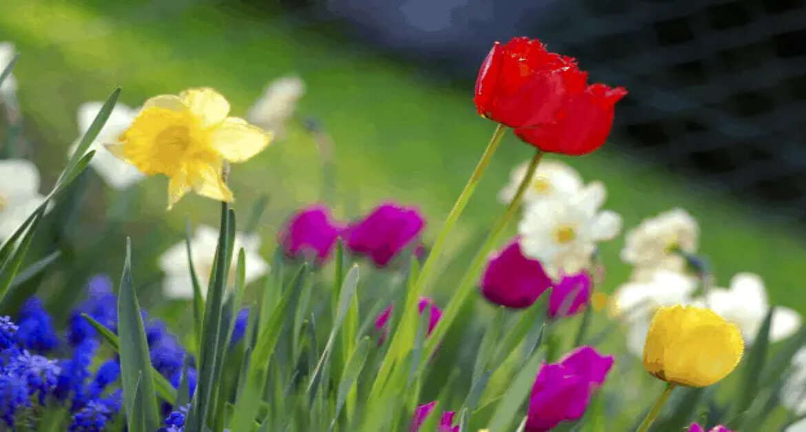 4 tips for spring cleaning of your office space