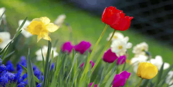 4 tips for spring cleaning of your office space